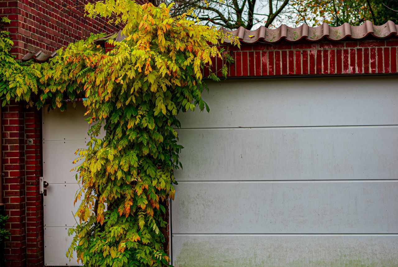 Garage door service in Lake Forest, CA